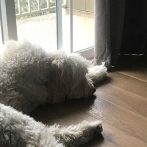 Meet your Posher, Drew